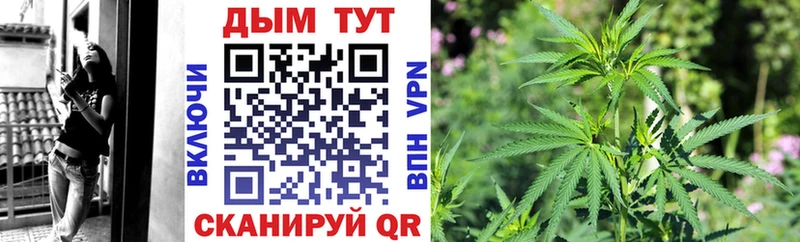 Где купить наркоту Курган ТГК Меф АМФ КОКАИН Канабис APVP Героин