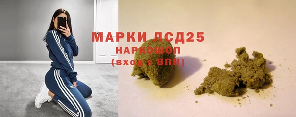 стаф Армянск