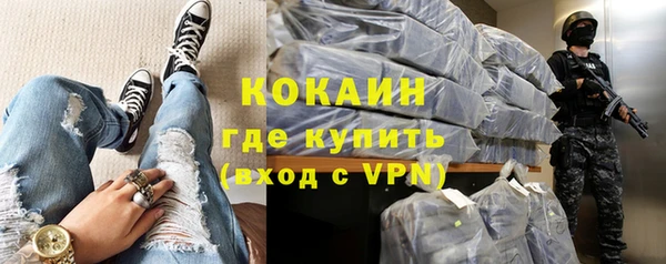 дживик Арсеньев
