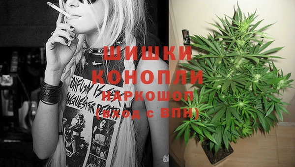 винт Аркадак